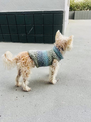 CANCER | Signature Series Dog Sweater