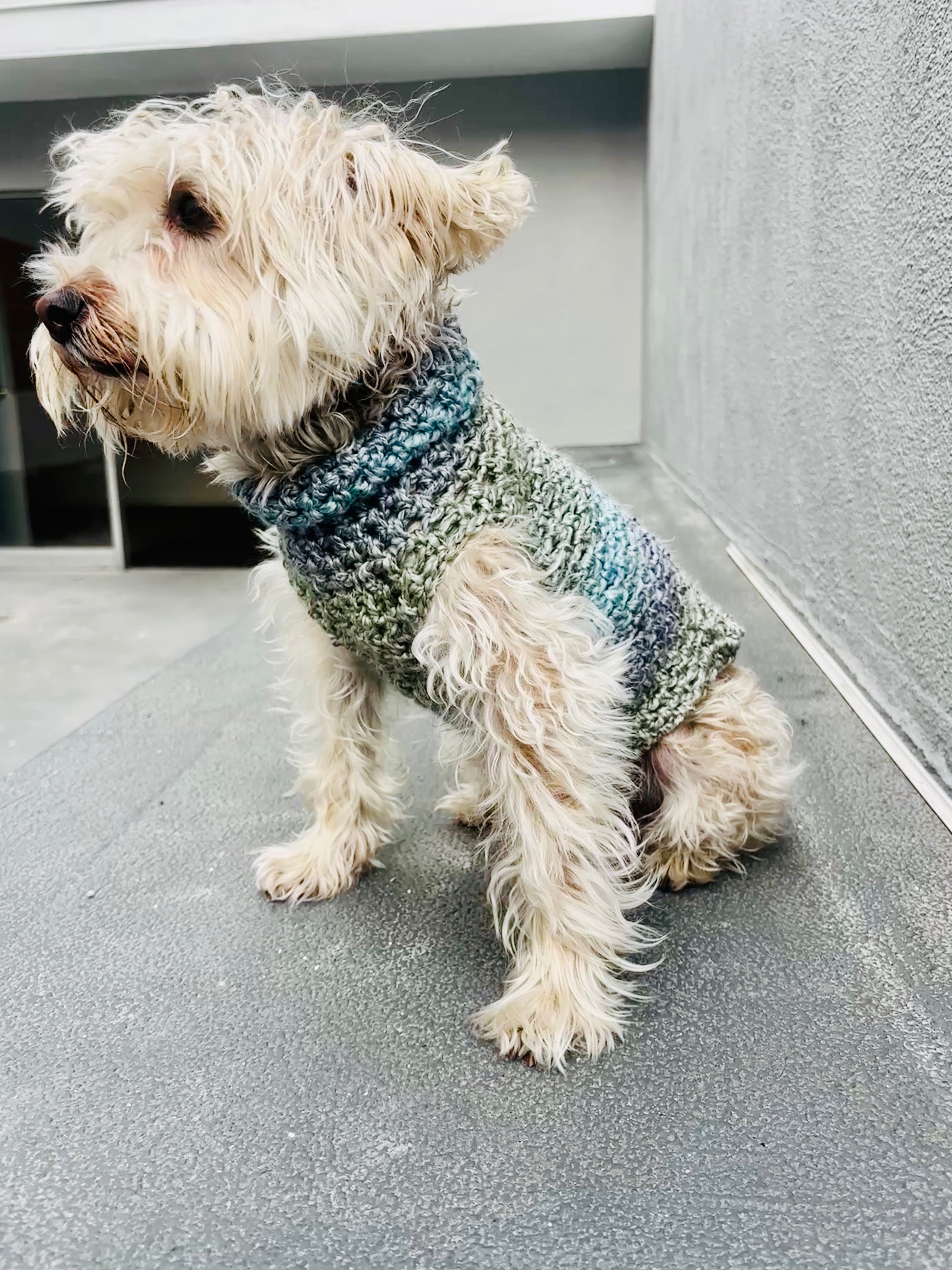 CANCER | Signature Series Dog Sweater